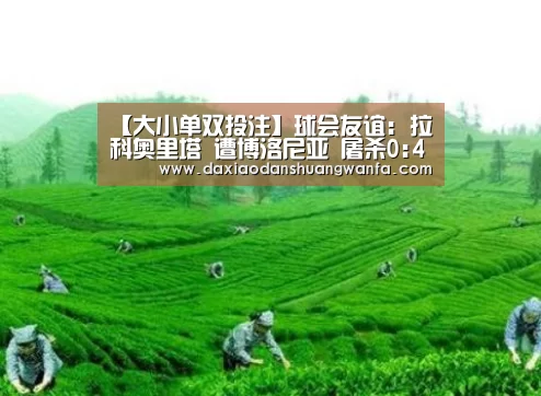 大小单双投注