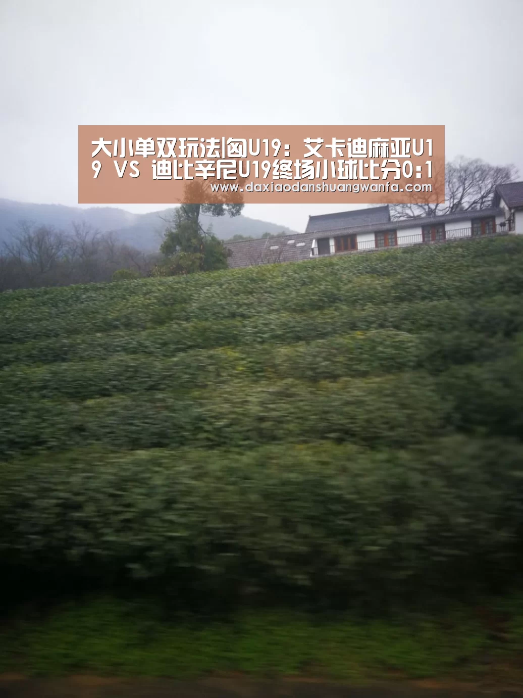 大小单双玩法|匈U19: 艾卡迪麻亚U19 VS 迪比辛尼U19终场小球比分0:1(图1) 大小单双投注