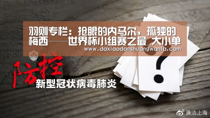 大小单双投注