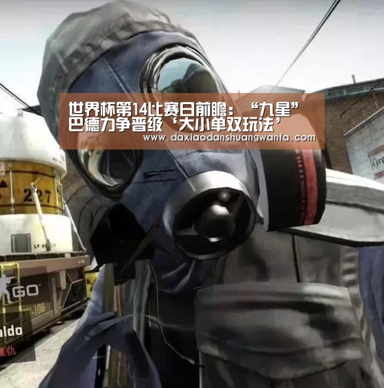 大小单双投注