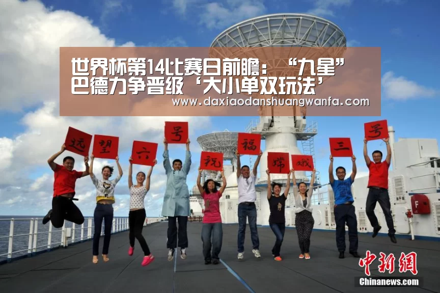 大小单双