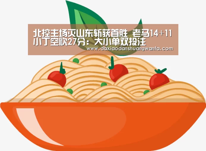 大小单双投注