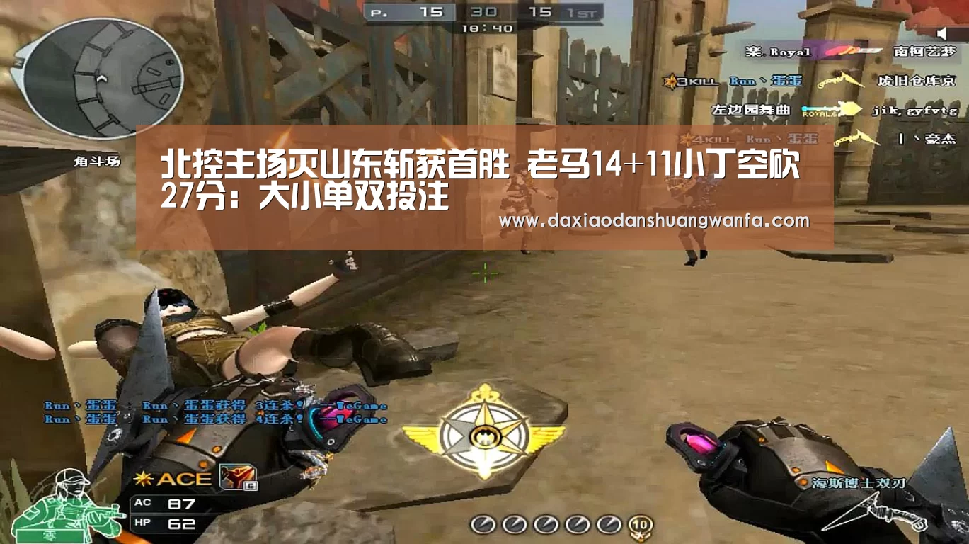 大小单双