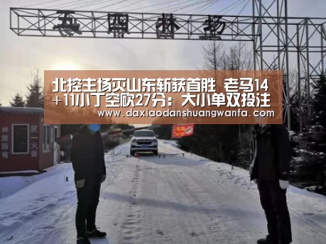 大小单双组合