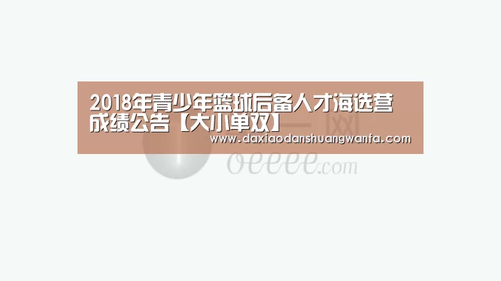 大小单双组合