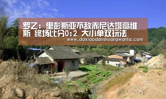 大小单双玩法