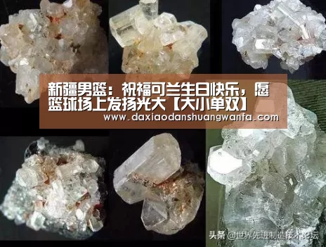 大小单双