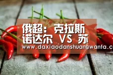 大小单双投注